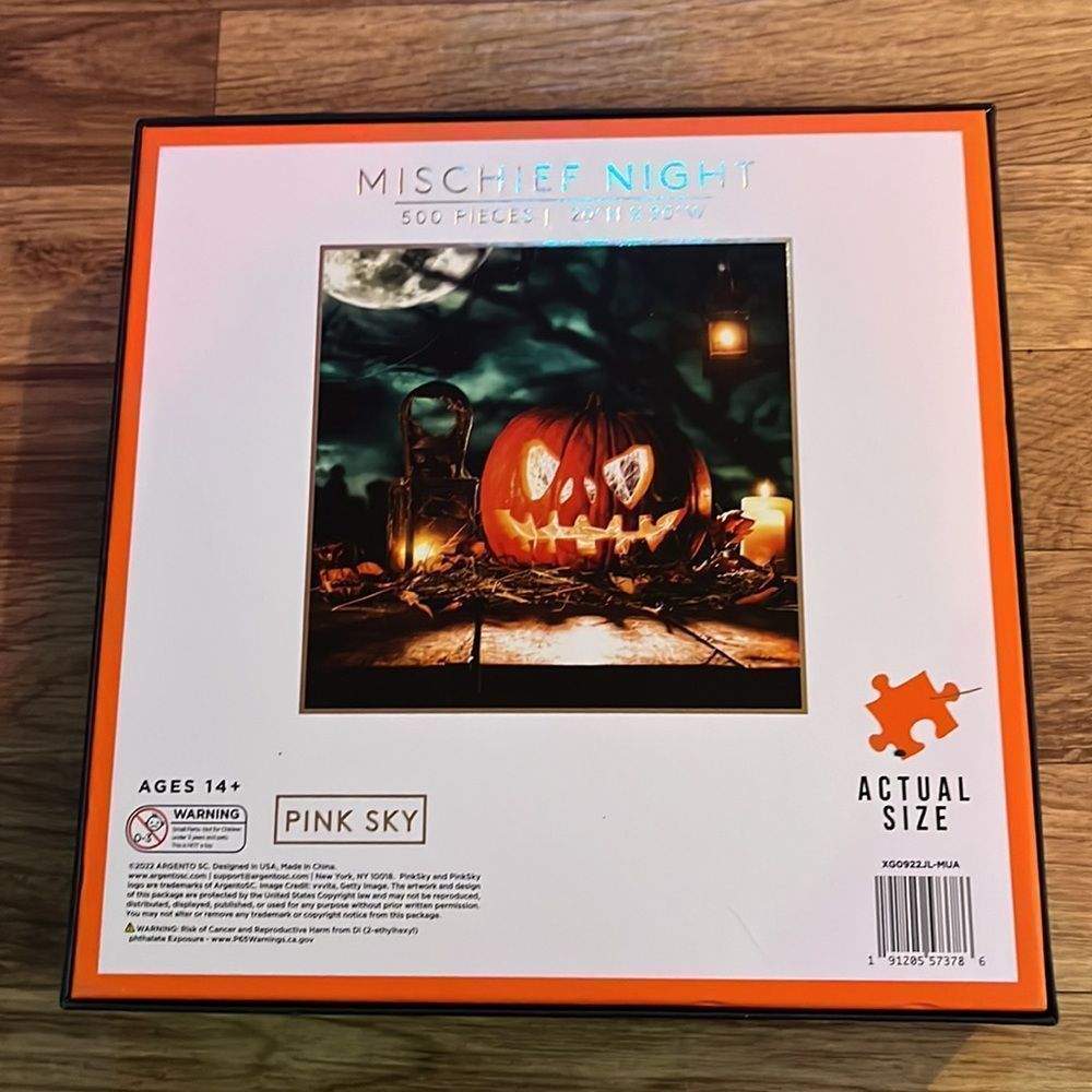 500 piece puzzle - Picture 3 of 3